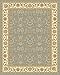 SAFAVIEH Lyndhurst Collection Area Rug - 6' x 9', Light Blue & Ivory, Traditional Oriental Design, Non-Shedding & Easy Care, Ideal for High Traffic Areas in Living Room, Bedroom (LNH312B)