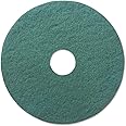 Boardwalk BWK4013GRE 13 in. Diameter Standard Floor Pads - Green (5/Carton)
