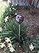 Solar Colorful Flower Petal Ball Light (#Blackm002P), Solar Power Multi-Color Color Changing LED Mosaic Glass Decorative Garden Yard Light Stake