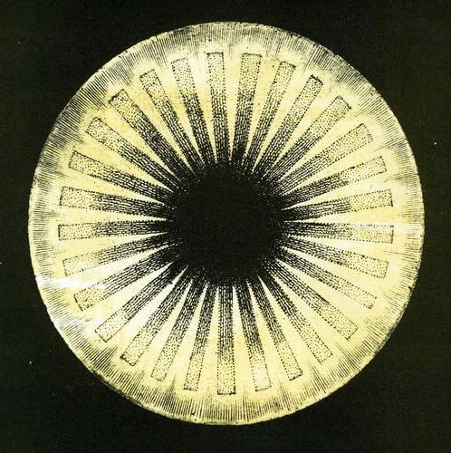 I, Murderer, I [VINYL]