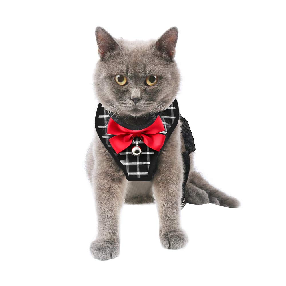 Mnioky Cat Harness and Leash Set, Escape Proof, Breathable Mesh, Small, Black