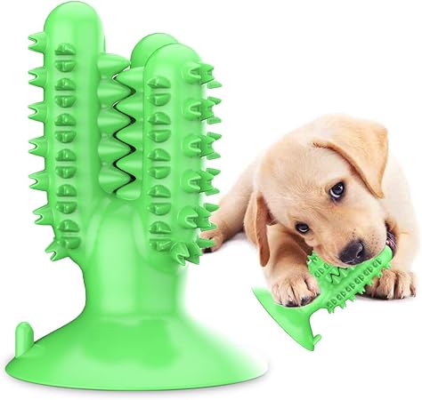 amazon dog teeth cleaning