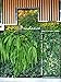 Prudance 4 Pockets Vertical Hanging Wall Garden Planter Grow Bags, Wall Mount Planter Grow Pockets for Flowers,Vegetables,Patio Wall Decor,Black, Large
