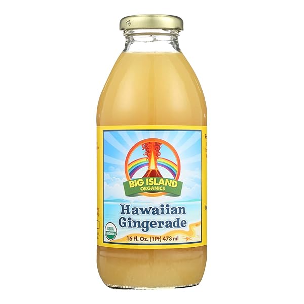 BIG ISLAND ORGANICS ORGANIC GINGERADE, 16 FZ