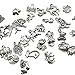 Pack of 100 Mixed DIY Antique Animal Themes Pendants Charms for Crafting,Bracelet Necklace Jewelry Findings Jewelry Making Accessory