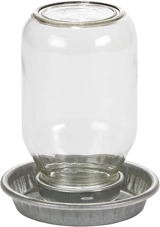 mason jar pet waterer