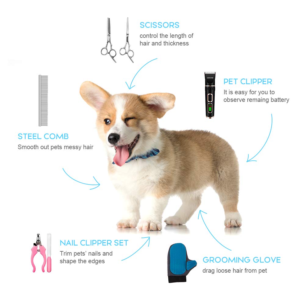crenova professional pet clipper