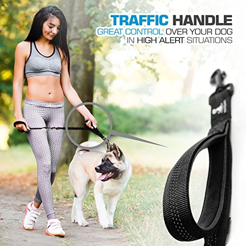 3 in 1 Short Dog Leash - Shock-Absorbing Bungee with Padded Handle - Elastic Attachment for Your Regular Leash, Control Handle, or Traffic Leash – Suitable for Medium and Large Dogs (Black New)