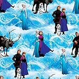 Disney Frozen Characters Scenic Blue Fabric