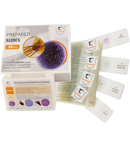 DISC Bach Stradivarius Centennial Trumpet, Limited Edition