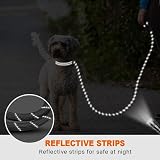 Taglory Rope Dog Lead 1.0 cm 1.5 m Reflective Padded Handle Small Dogs view 5