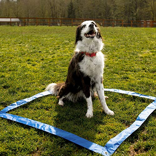 CHEERING PET Dog Agility Training Kit - 29 Piece Obstacle Course with 58.5" Long Tunnel, Adjustable Hurdles, Poles, Whistle, Rope Toy, Treat Bag - Pet Outdoor Play Equipment with Carrying Case