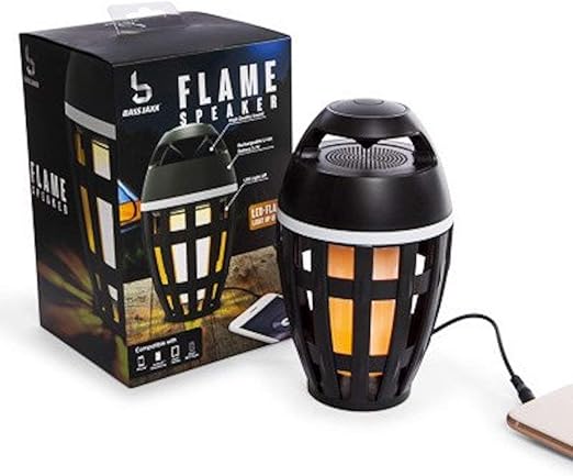 bass jaxx flame speaker