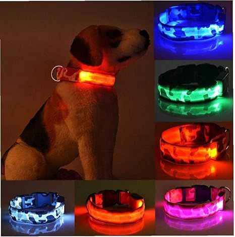 Collar de perro luminoso para mascotas suministros de ...