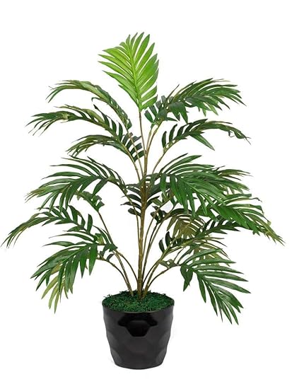 Pollination Artificial Areca Plant with Pot (Black)