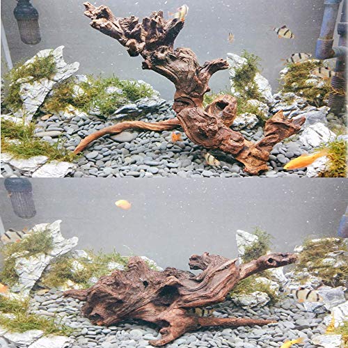 PINVNBY Large Driftwood for Aquarium Decorations Natural Assorted