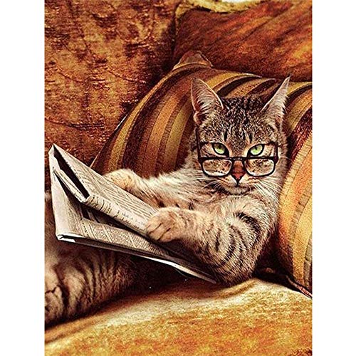 BeautyShe DIY 5D Diamond Painting by Number Kit for Adult, Full Drill Diamond Embroidery Dotz Kit Home Wall Decor-11.8 x 15 inch