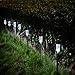 iHomy Stainless Steel 12 Pack Outdoor Solar Garden Lights