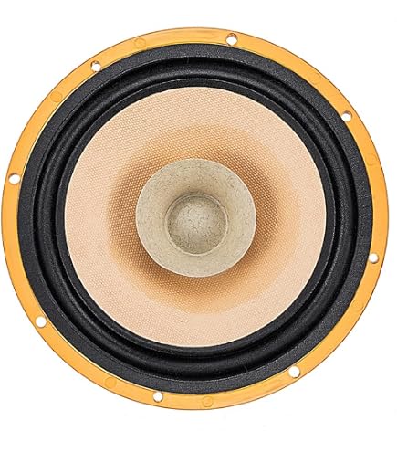 Amazon.com: Visaton BG17-8 6.5