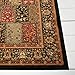 Home Dynamix 41200B-450 Royalty Bella Traditional Area Rug 7'8