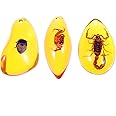 ULTNICE 3pcs Amber Insect Specimens Pendants Amber Fossil Insect Artificial Amber Insect Specimen Pendant Scorpions Insects Amber Stone Ornament for Necklace