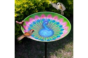 VEWOGIFT Bird Bath for Outdoor, 43" Tall Metal Birdbath with Stake, Peacock Bird Bath & Feeder with 13" Bowl for Outside Garden Patio Yard Decor