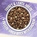Purina Beyond High Protein, Grain Free, Natural Dry Cat Food, WILD Turkey Recipe + Freeze Dried Bites - 5 lb. Bag