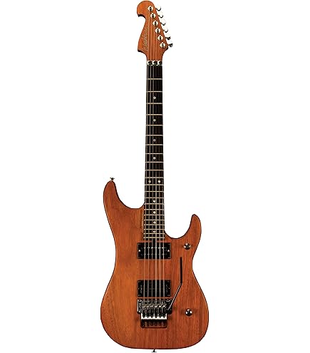 Amazon.com: Washburn 6 String Solid-Body Electric Guitar, Padauk