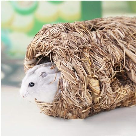 guinea pig nesting material