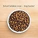 Rachael Ray Nutrish Little Bites Small Breed Natural Premium Dry Dog Food, Real Chicken & Veggies Recipe, 14 Lbs