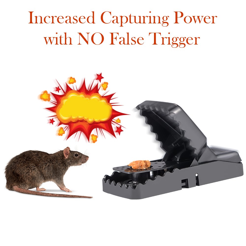 Piège à Souris, Tapette à Rat Réutilisable Souricière avec Ressort Puissant et Sensible Contrôle des Rats Efficace (Lot de 6)
