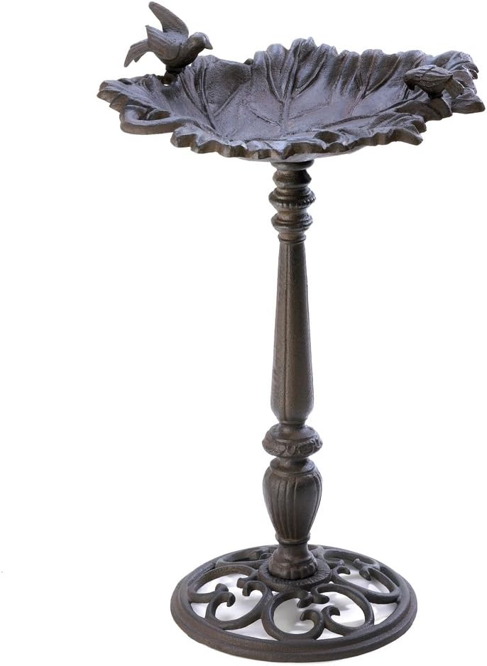 Bath Bird, Rustic Parakeet Bird Bath Antique Modern Cast Iron Garden Bird Baths