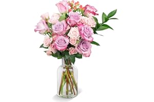 COLOUR REPUBLIC Country Living Premium Fresh Cut Lavender and Pink Roses Fresh Flowers, Large Bouquet