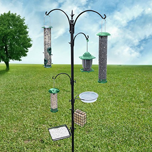 Delux   e Premium Bird Feeding Station â€