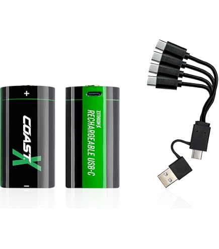 Amazon.com: Coast ZX 9V USB-C Rechargeable Batteries, ZITHION-X