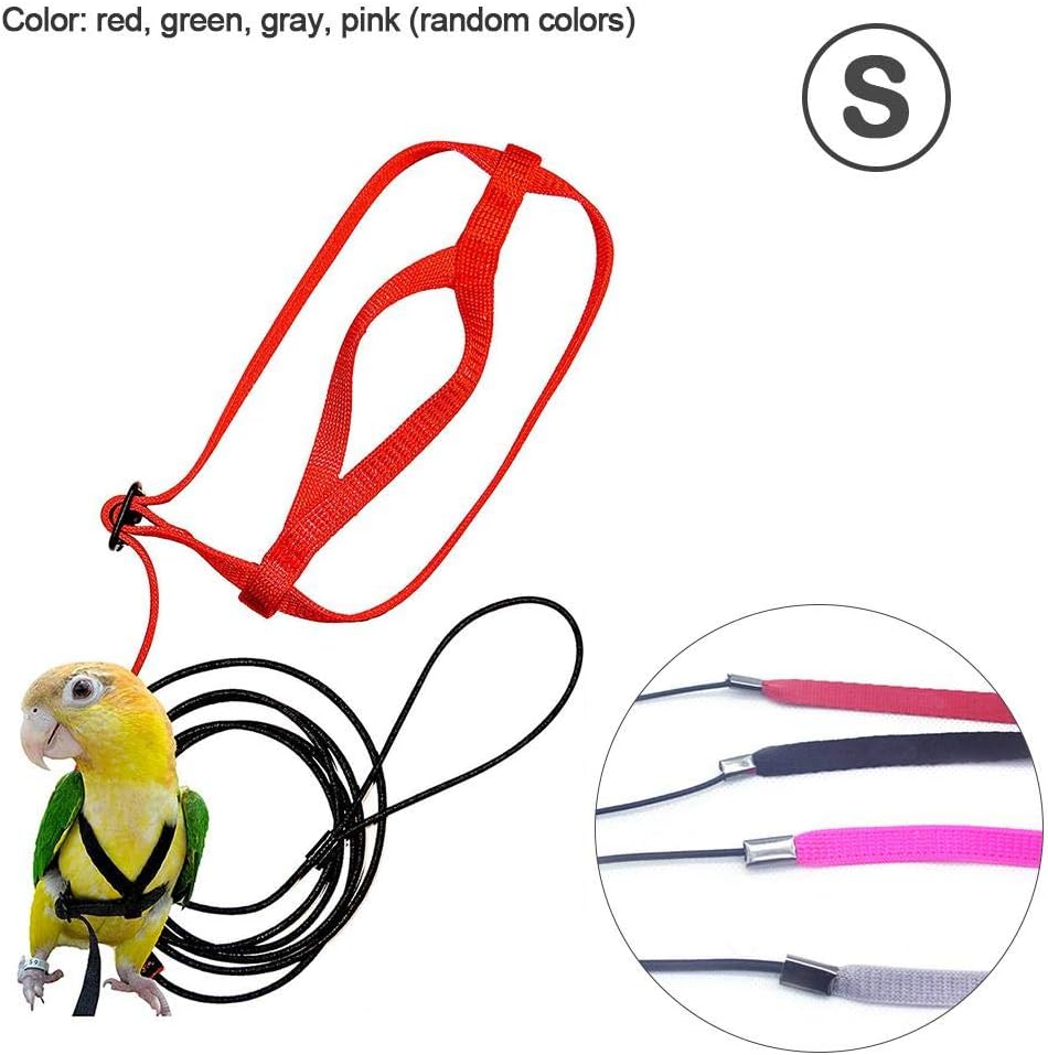 Ritapreaty Adjustable Bird Harness and Leash, Flying Anti-bite Traction Rope bird Training Outdoor Carrying for Psittacus Scarlet Macaw Parrots Birds