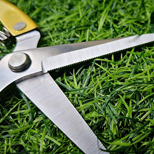 Pruning Shears Straight Tip Pruning Trimming Scissors Florist Scissors-Stainless Steel Ultra Sharp Multi-Purpose Hand Pruner Scissors for Garden Harvesting Fruits Vegetables, Trimming Flowers, Gold