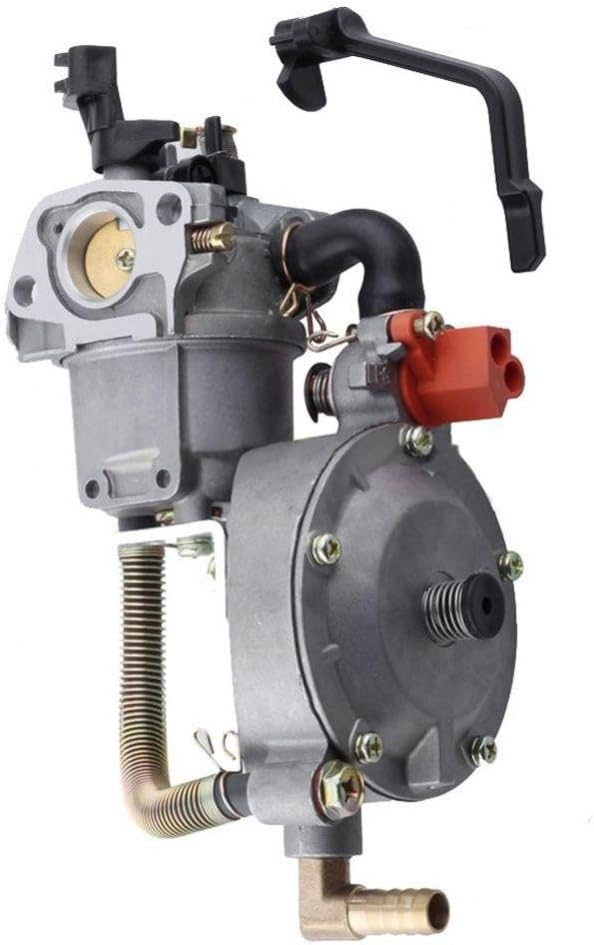 generatore a doppio combustibile