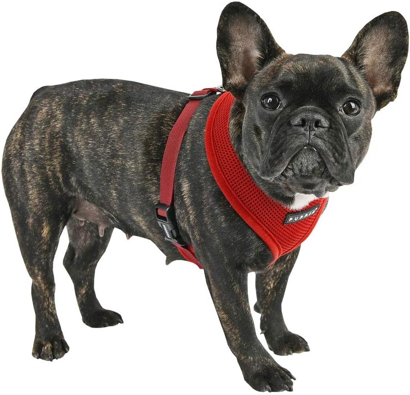Puppia Dog Harness small dog and medium dog harness, Super soft and comfortable in many colours, Also usable as Puppy Harness - Image 4