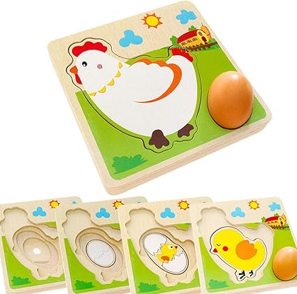 Download Amazon Com Tkmom Wooden Layered Puzzle Chick Growth Farm Animal Puzzle Safariology Life Of A Chick Montessori Early Educational Toy For Toddler Xmas Birthday Gift Toys Games
