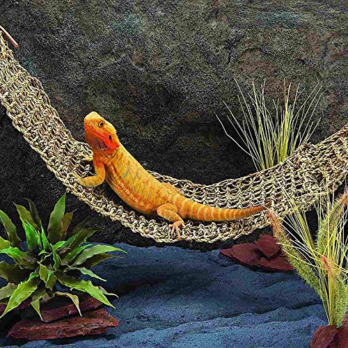 4 PIVBY+Reptile+Lounger+Bearded+Hammock