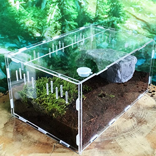 5 Petforu+Aquarium+Breeding+Temperature+Hygrometer