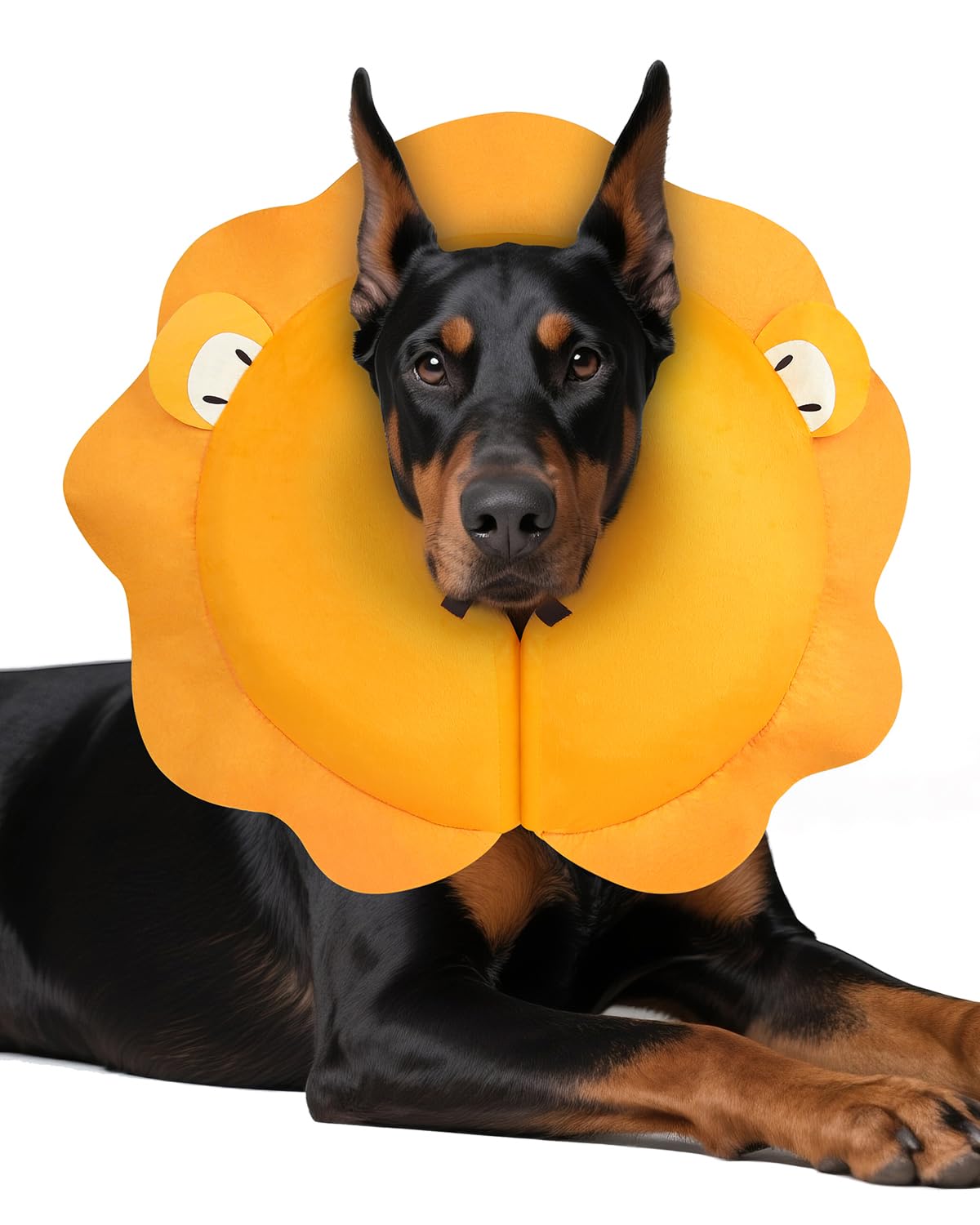 Photo 1 of MIDOG Dog Cone Collar for Large Medium Dogs, Soft Inflatable Dog Cone Alternative After Surgery, Adjustable Protective Recovery Cone - Alternative E Collar Does Not Block Vision (Lion,L+)