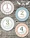 Shabby Chic Baby Monthly Stickers - Shower Gift or Scrapbook Photo Keepsake