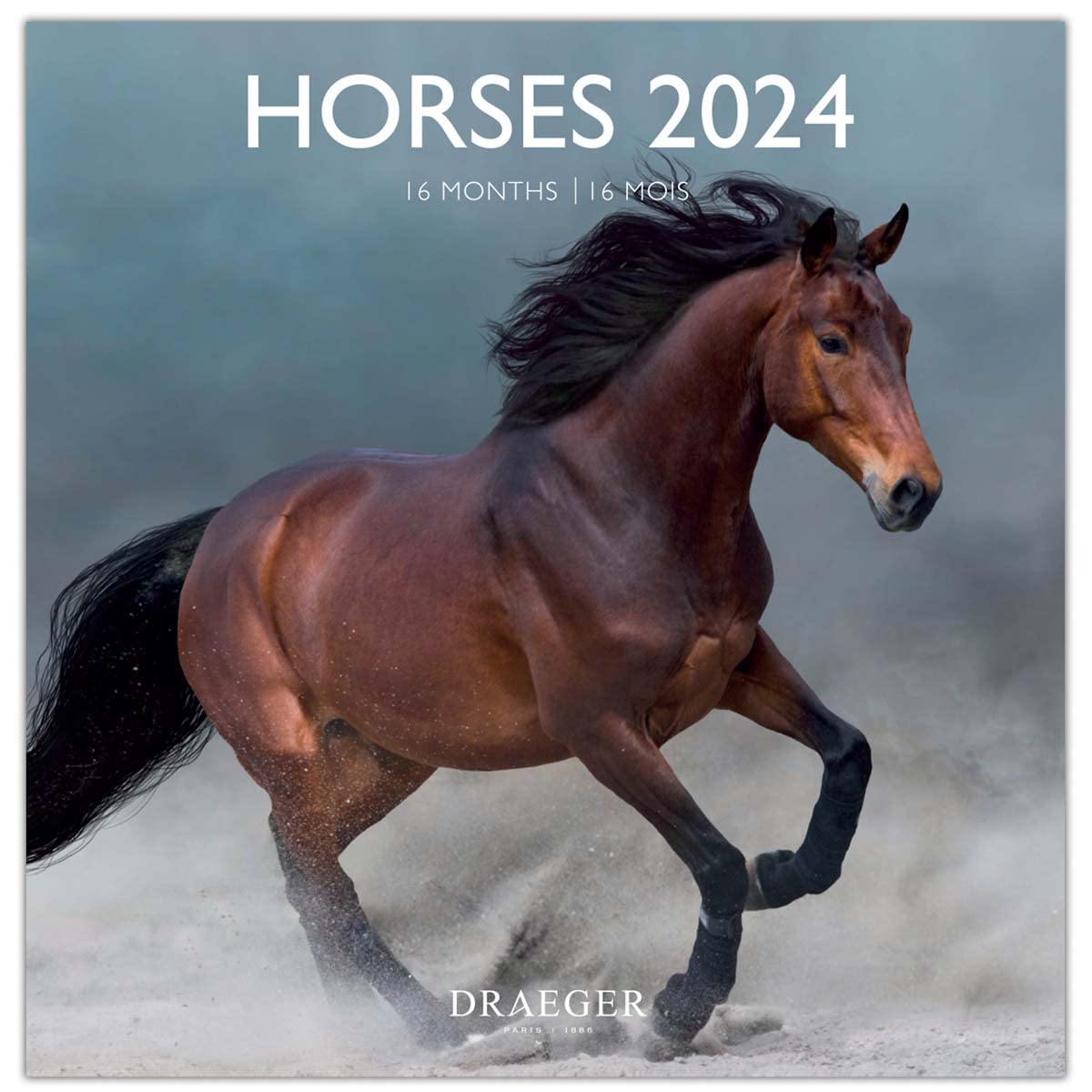 DRAEGER PARIS | Large Wall Calendar Horses 2024 to Hang 29 x 29 cm | 16 Months Sept-23 to Dec 24 | 7 Languages | Office, Home, Monthly Calendar | Decoration, Organization | FSC® Certified Paper