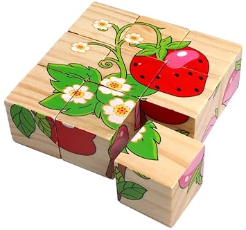 qiaolinglong Colorful Wooden Block Picture Puzzle for Toddlers and Small Children (Fruit Theme) - 9 Piece