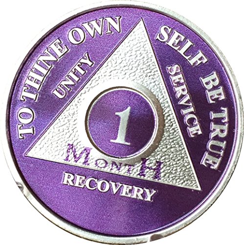 1 Month Purple Silver Plated AA Medallion 30 Day Chip