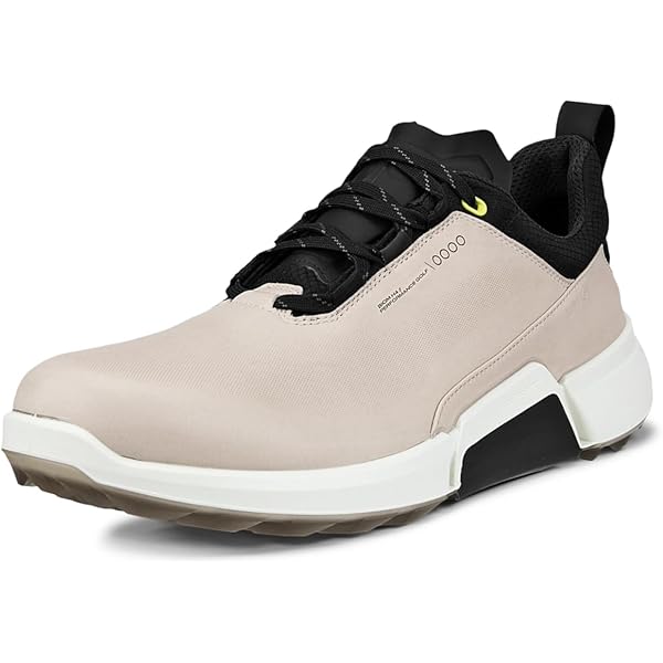 Amazon.com | Biom Hybrid 4 BOA Gore-TEX Waterproof, White/Retro