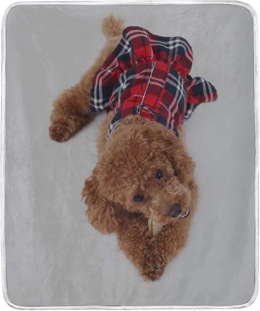 poodle throw blanket