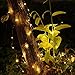 GDEALER Solar String Lights 150LED 49ft Waterproof Starry Copper Wire String Lights Ambiance Lighting for Outdoor Landscape Patio Garden Home Christmas Party Wedding Warm White (1)